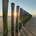 L'abreuvoir De La Mer- - * سانجات