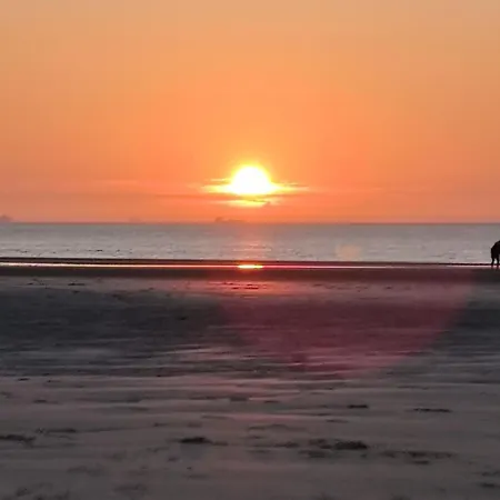 L'abreuvoir De La Mer- - *