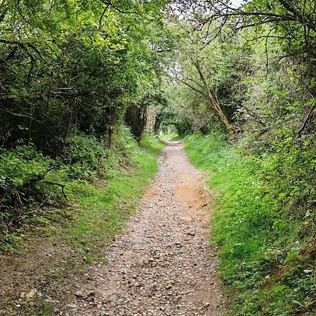 L'abreuvoir De La *