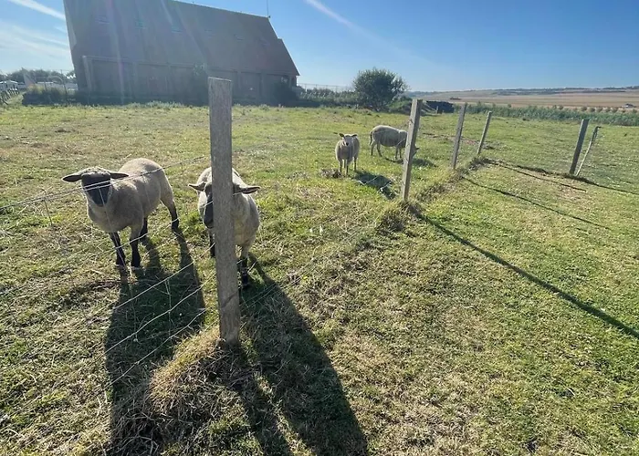 L'abreuvoir De La Mer- - Casa vacanze Sangatte