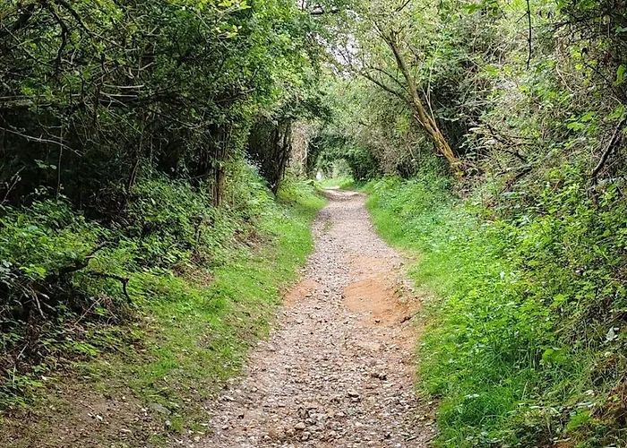 L'abreuvoir De La Mer- - *